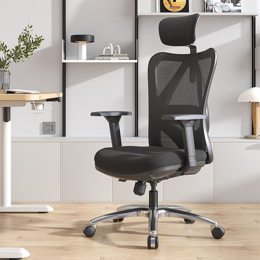 西昊 SIHOO M18 人體工學椅｜經典護腰·青少年/年輕人學習工作首選